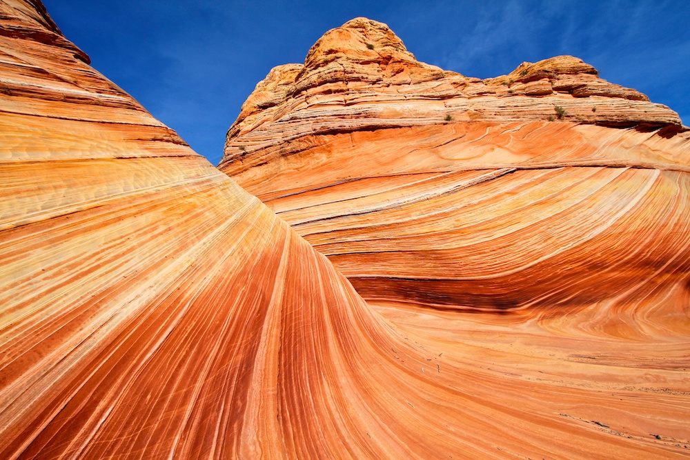 Far West Wilderness : Séquence 7 : The Wave