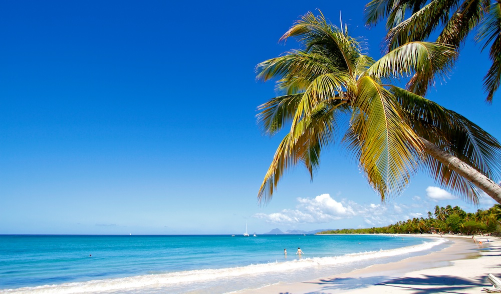 Martinique : Un brin de couleur dans cette grisaille …