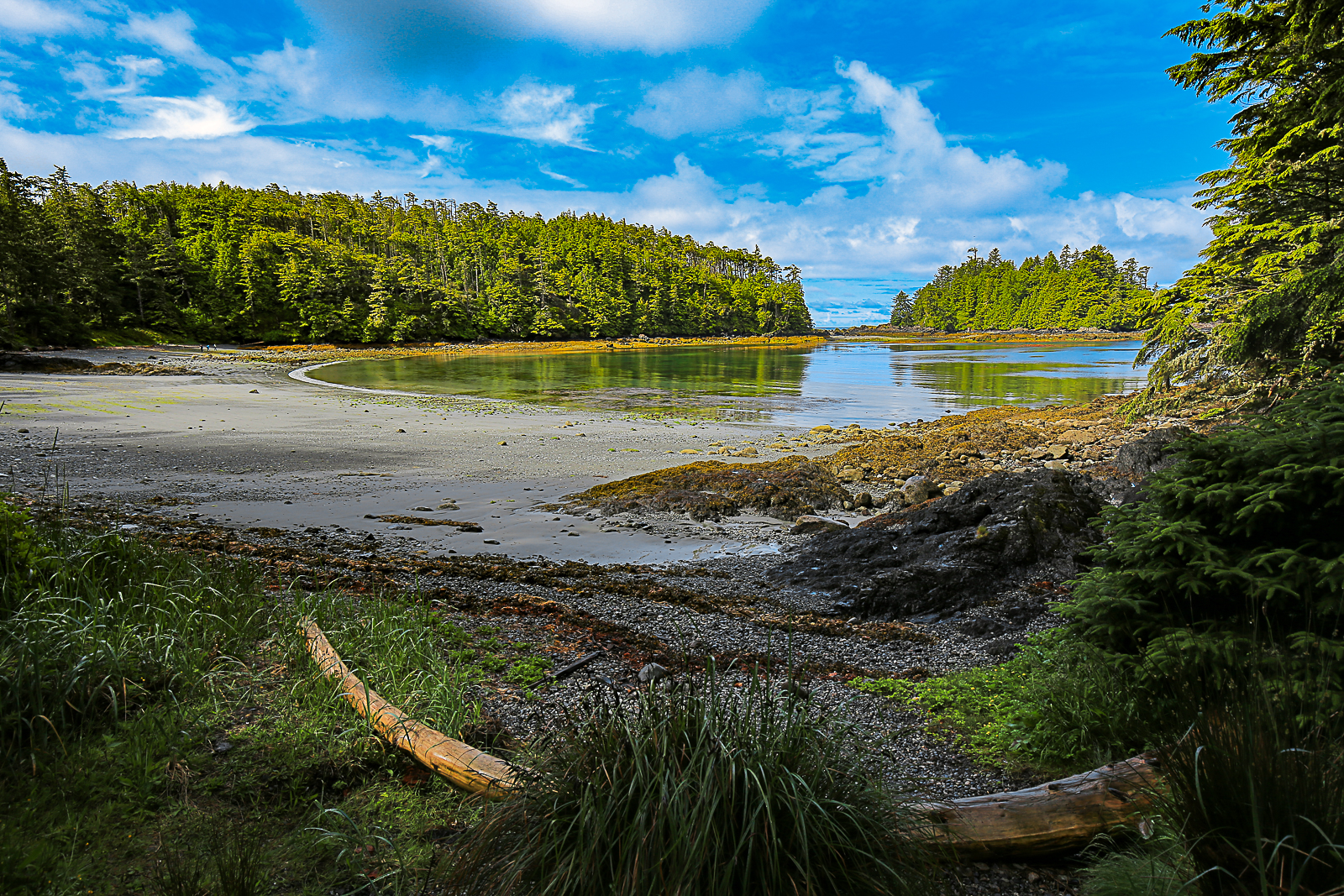 Terrace beach, ile de Vancouver, BC, Canada, paysages, plages, nature, sauvage